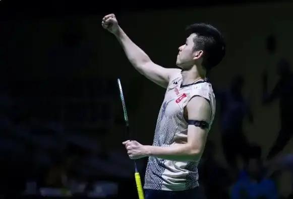 不仅展示了 不仅展示了